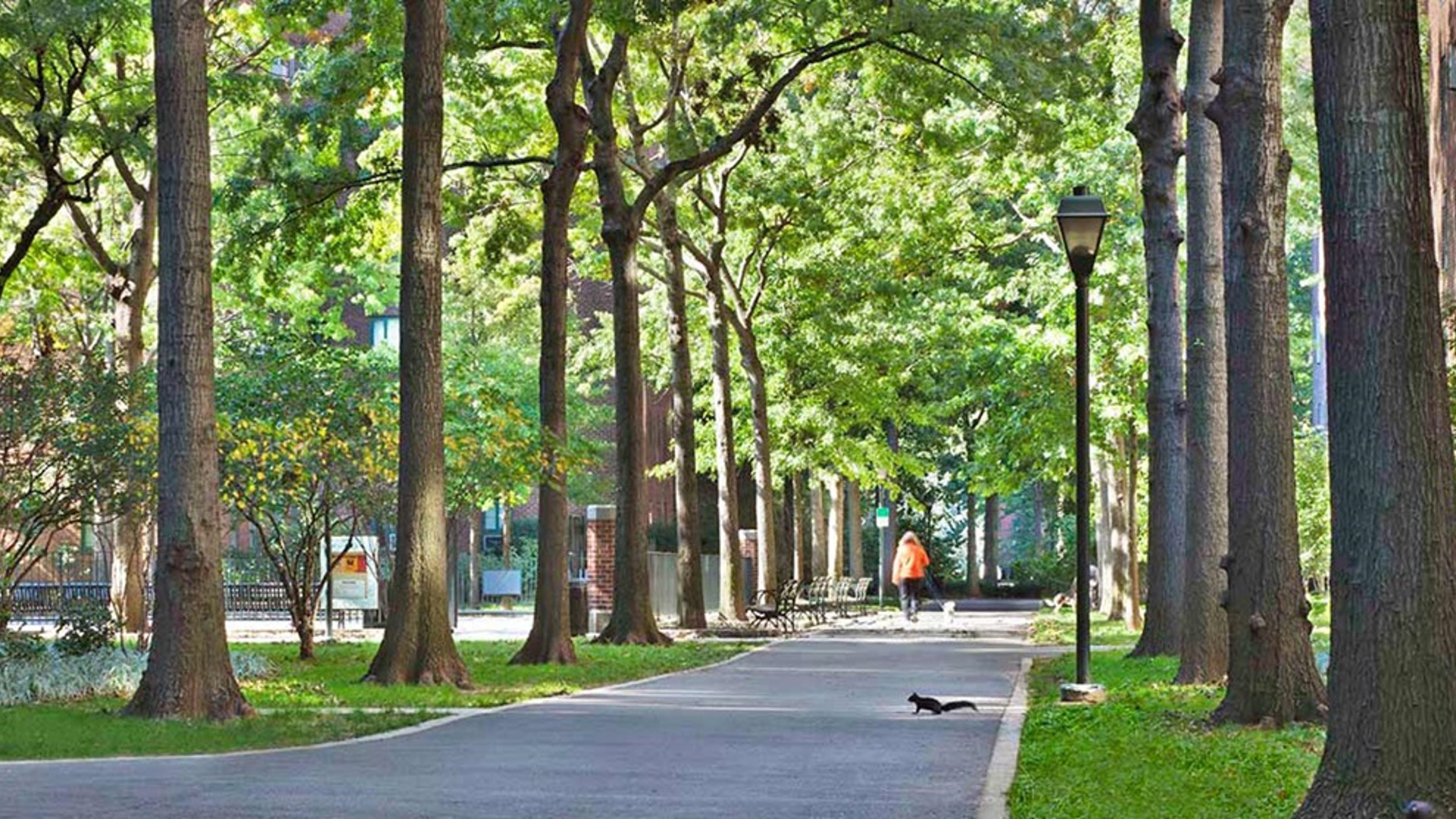 ST Grounds Wideshot